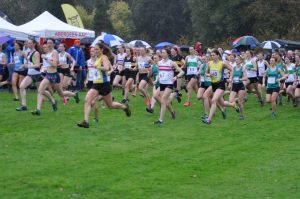 Fanni Gyurko and Lauren McCulloch