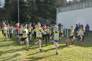 A fast start for the combined Under-13 boys and Under-13 girls start